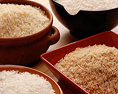 Разновидности риса, снимок для буклета