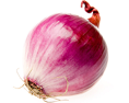 Лук